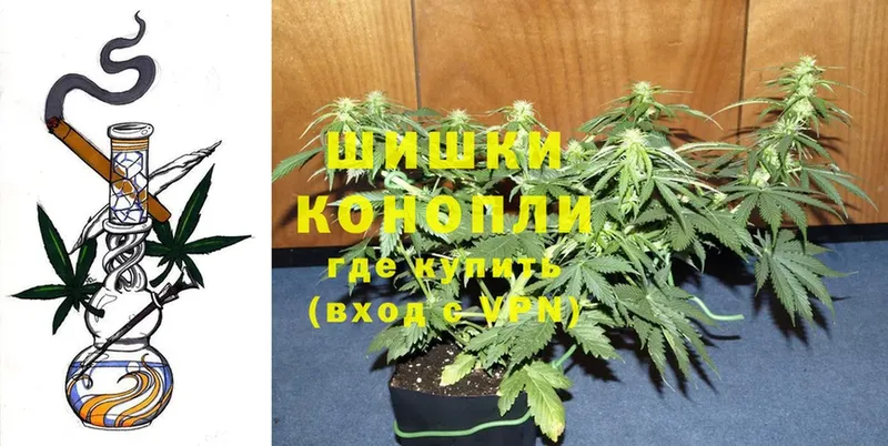 Шишки марихуана Bruce Banner  купить наркотики сайты  Новочебоксарск 